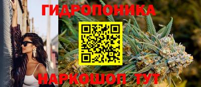 соль ск Гатчина
