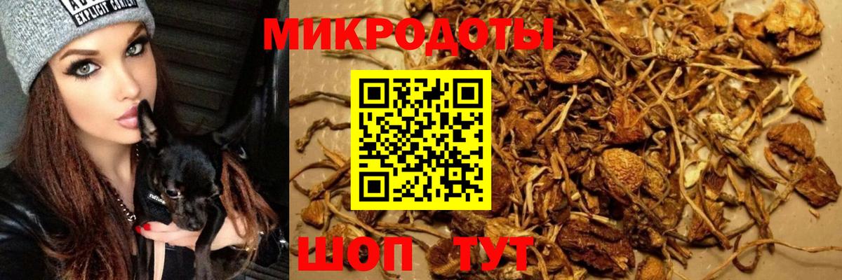 Дюртюли  Галлюциногенные грибы мицелий  Вход с VPN  Галлюциногенные грибы прущие грибы 